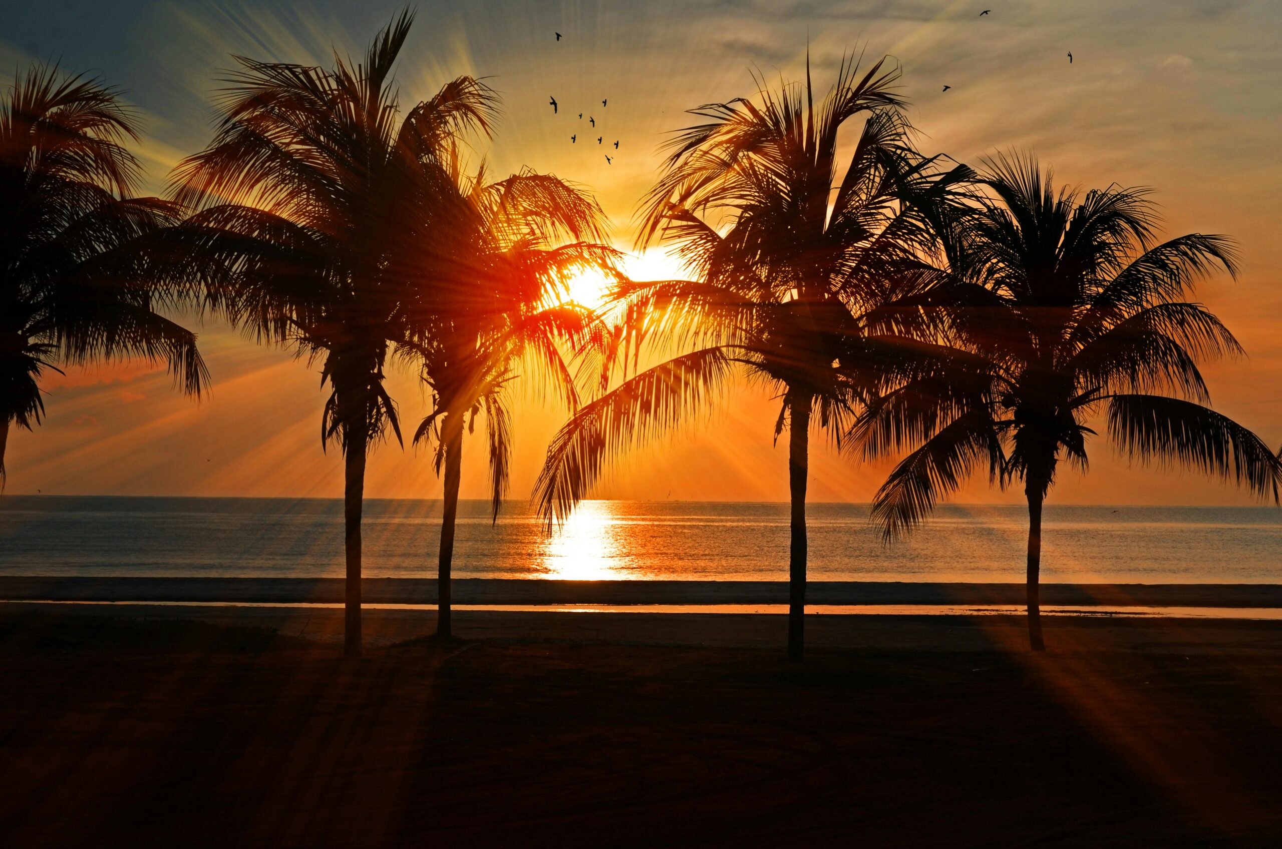 Playa, sol y naturaleza: 6 destinos para quienes desean desconectar y recargar energías